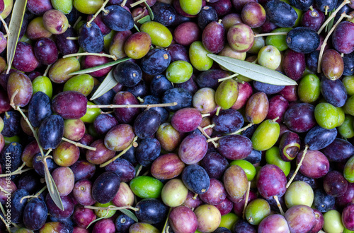 Green and black olives with...