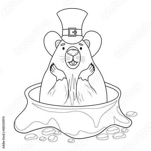 Cute groundhog character looks out of hole. Funny animal rodent. Vector linear hand drawing, coloring book. kids collection. Holiday character Groundhog Day. February 2.