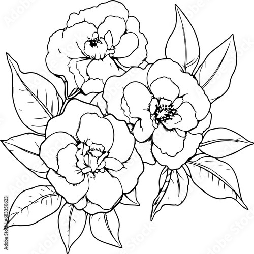 CAMELLIA flower coloring page
