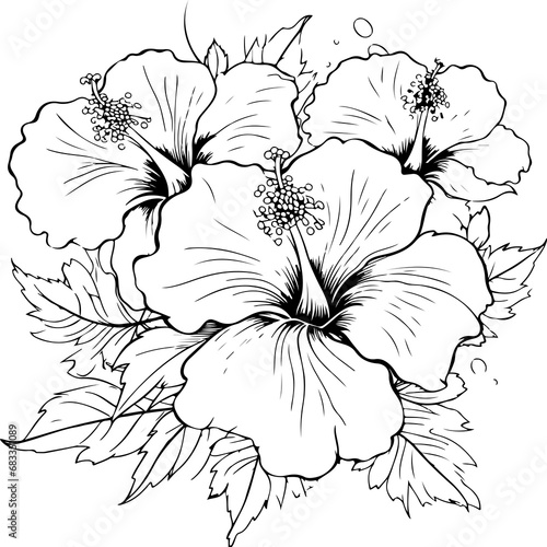 HIBISCUS flower coloring page