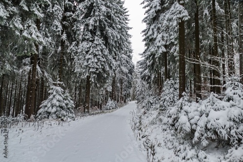 winter landscape in chech mountains