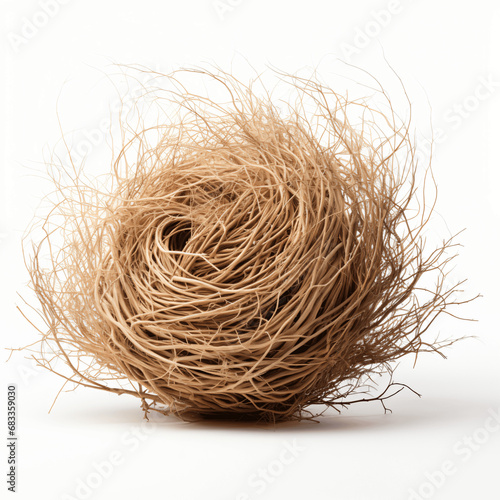 Desert Tumbleweed Isolated photo