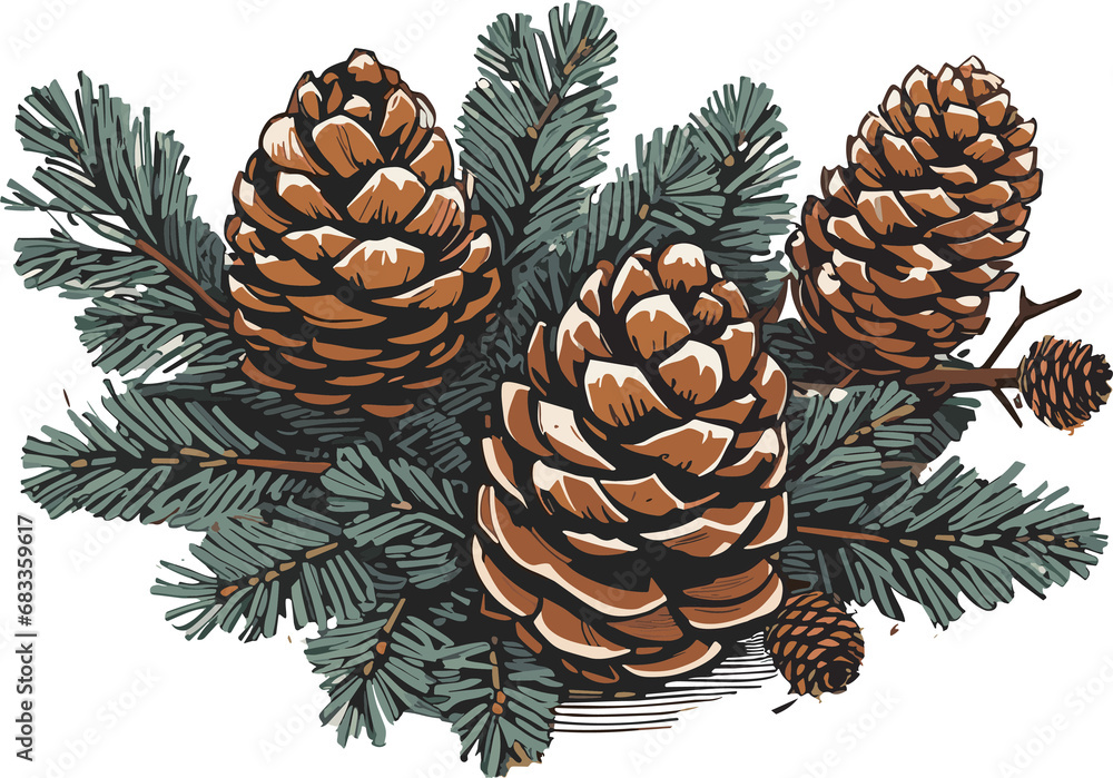 Fototapeta premium pine cones and fir cones