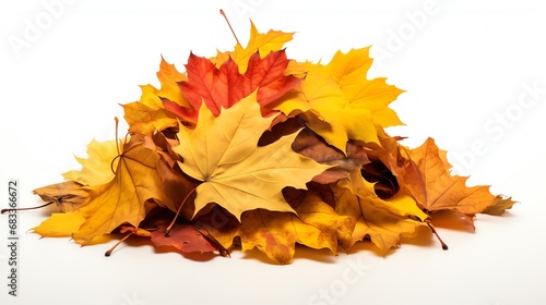 a pile of yellow and orange leaves photo