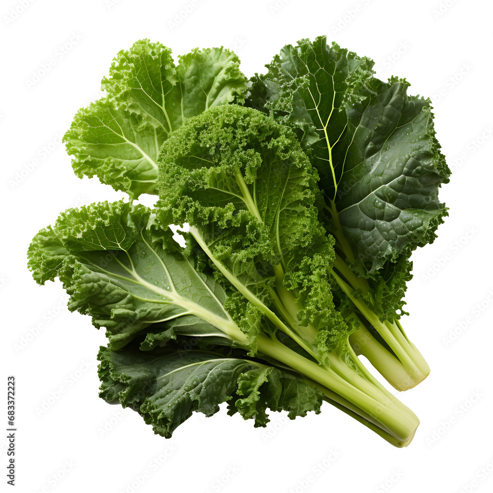  Kale png. kale top view png. kale flat lay png. kale isolated - obrazy, fototapety, plakaty 