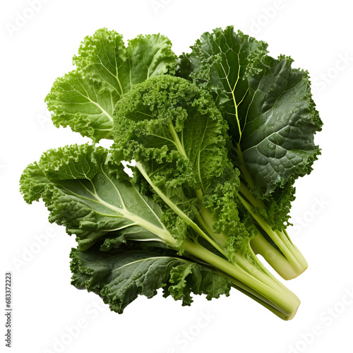 Kale png. kale top view png. kale flat lay png. kale isolated photo