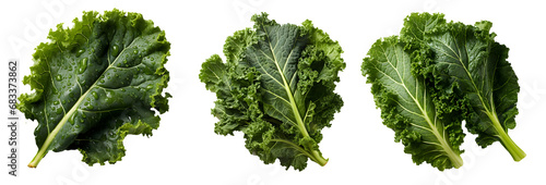 Kale png. Fresh lettuce leaf png. Spinach png. Green leafy vegetable png. Kale top view png. Kale flat lay png. Leaf cabbage png. Brassica oleracea png. Kale set png photo