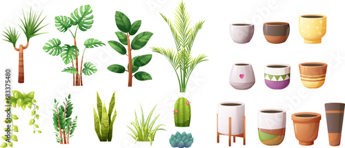 Set, designer of flower pots and indoor green plants. Snake plant, zz plant, spider plant, majesty palm, dracaena, golden pothos, monstera, ficus elastica, echeveria, cactus