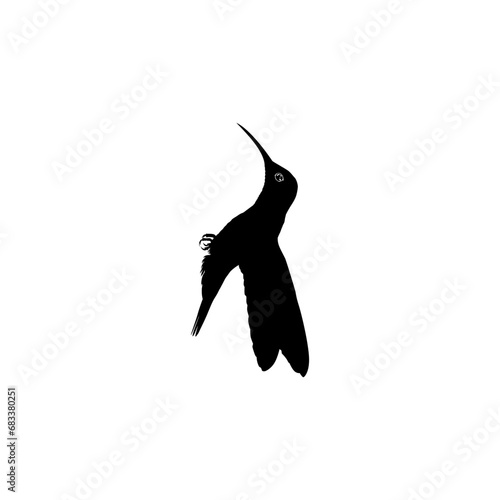Fototapeta Naklejka Na Ścianę i Meble -  Flying Hummingbird Silhouette, can use Art Illustration, Website, Logo Gram, Pictogram or Graphic Design Element. Vector Illustration
