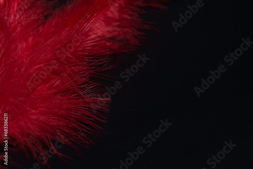 feather, red  on black  background.
