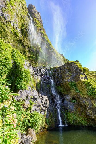 Wallpaper Mural wasserfall flores Torontodigital.ca