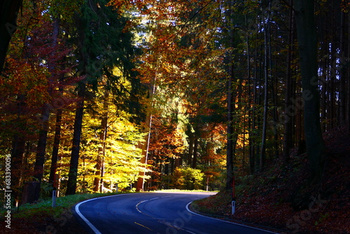 Morgensonne, Herbst und Fahrt durch den Wald