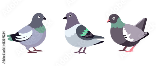 Fototapeta Naklejka Na Ścianę i Meble -  Set vector funny cartoon pigeons illustration. Geometric flat style. Pigeons sticker collection. Pigeons collection. cartoon character 