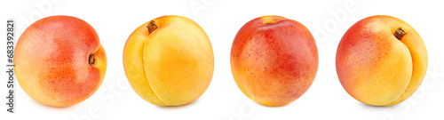 Apricot with clipping path isolated