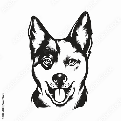 australian cattle dog face vector