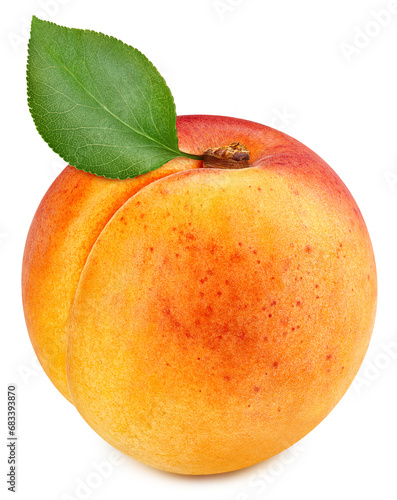 Fresh organic apricot isolated on white background