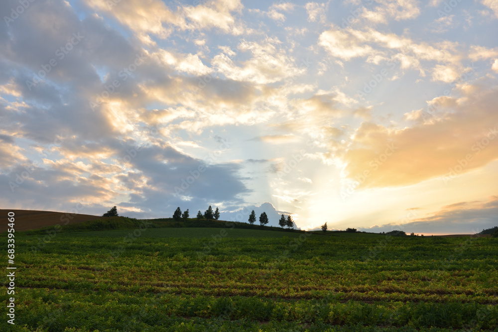 Obraz premium 北海道美瑛の日没