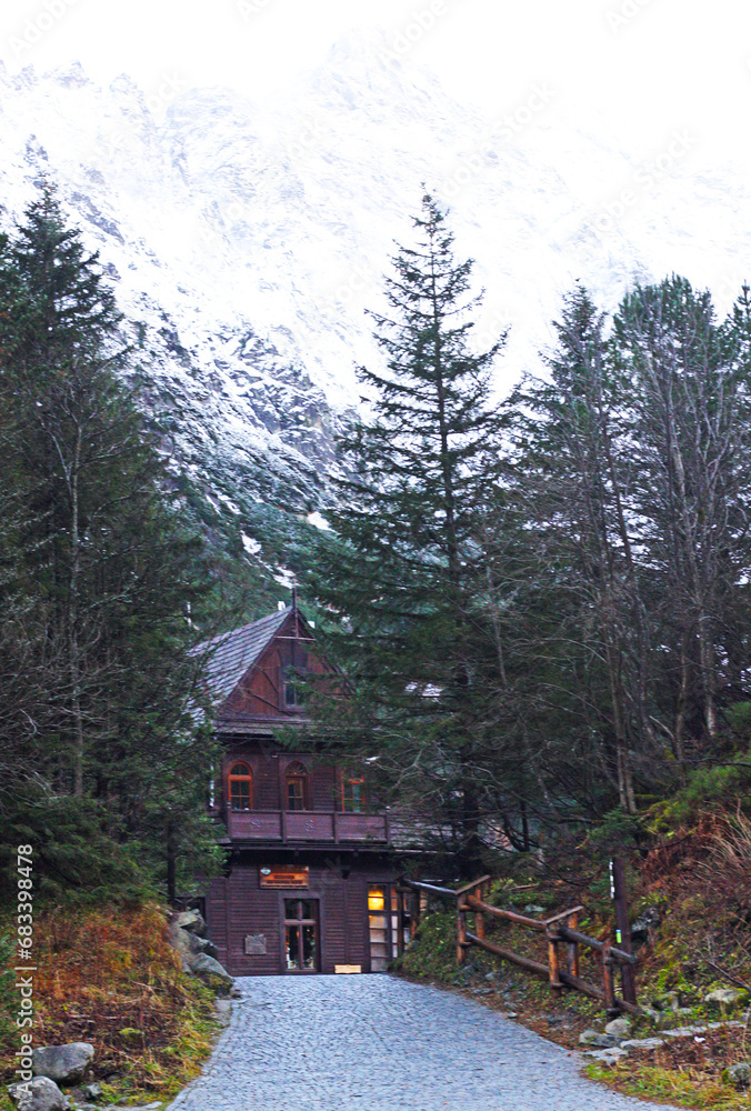 Old house in woods at the European Carpathian mountains in winter. Vertical photo