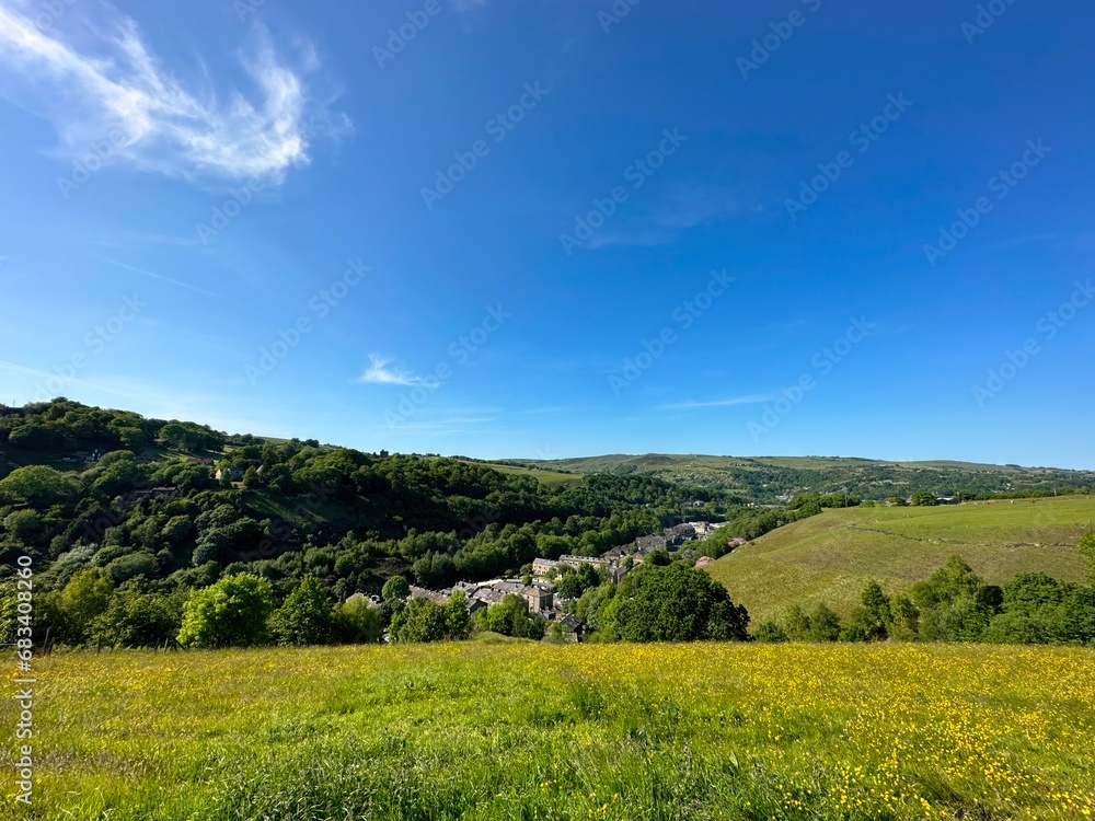 Rural landscape, with wild plants, grasses, trees, and distant hills near, Sowerby Bridge, UK