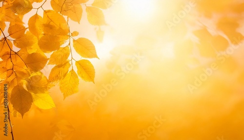 Trendy orange background with yellow tropical plants and leaves. Autumn concept 