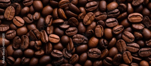 Texture of freshly roasted coffee beans
