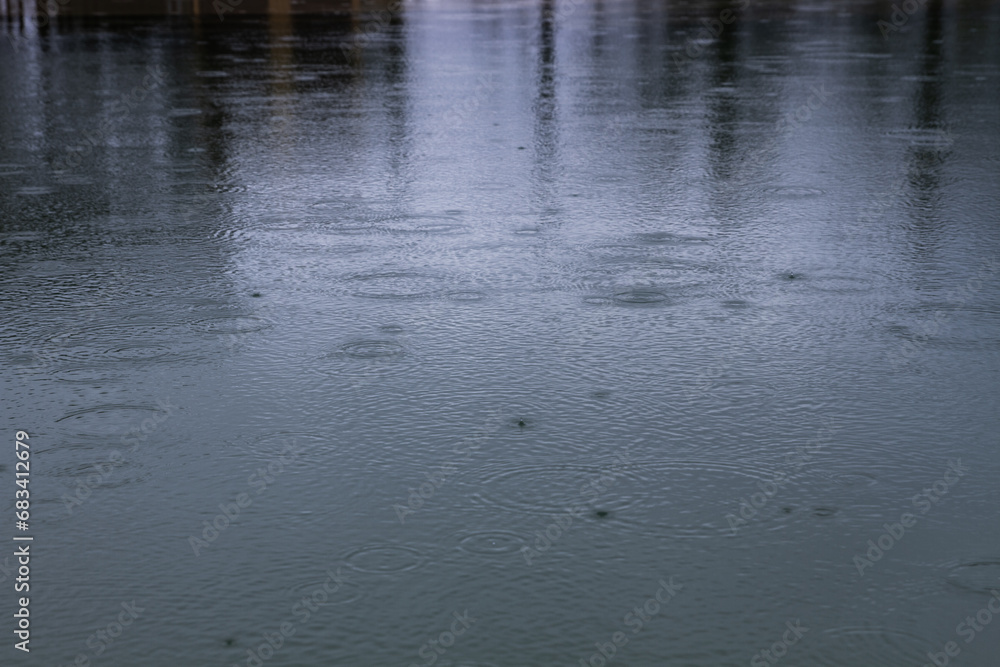 rain drips onto puddles. water surface, gray and cloudy weather