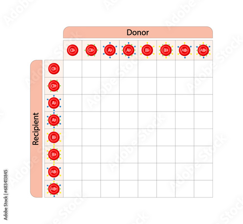 Abo Blood Compatibility Chart. Blood donation, ABO Blood groups droplets., four blood types, A,B, AB and O groups, made up from combinations of the type A and type B antigens. Vector Illustration.