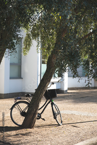 bicycle in the park