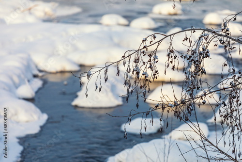 Tree branches under the snow on the background of the river. Winter background.