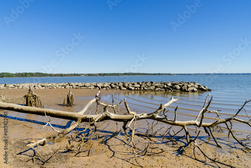 Driftwood sits on a sandy beach by a cove. © cfarmer