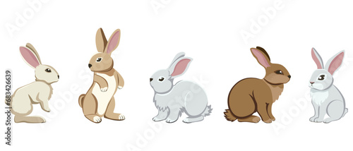 A collection of five hares and rabbits. Close-up. White background. For web design, print, children's illustrations, stickers.