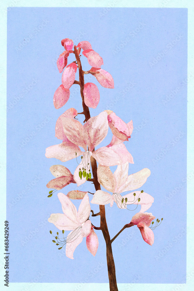 Ilustracja krzew kwiat dyptam w różowych pastelowych kolorach  niebieskie tło. - obrazy, fototapety, plakaty 