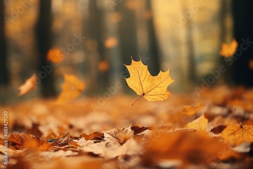 A detailed close-up shot of a single leaf lying on the ground. This image can be used to depict nature, autumn, seasons, or environmental concepts