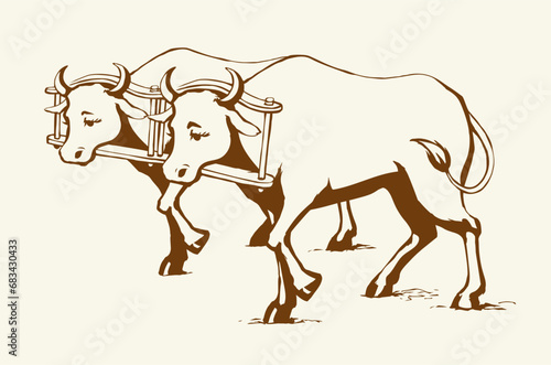 Vector drawing. Old wooden yoke on the cow