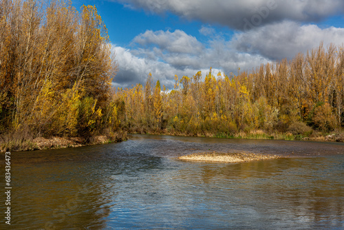 Bernesga River with trees with golden leaves in autumn, Carbajal de La Legua, León, Spain.