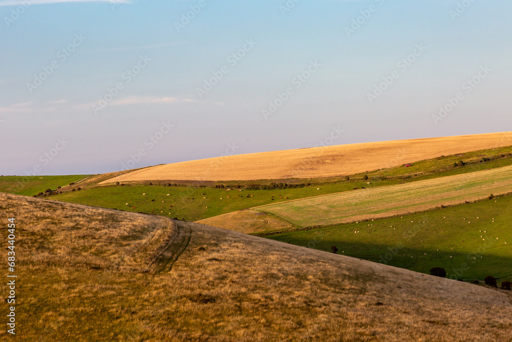A rural South Downs landscape with evening light