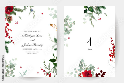 Emerald Christmas greenery, red amaryllis, winter berry, cedar, emerald pine, spruce vector design frames.