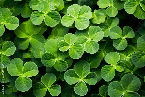 A close up of several clover leaves, in the style of light yellow and dark emerald, symmetrical arrangements