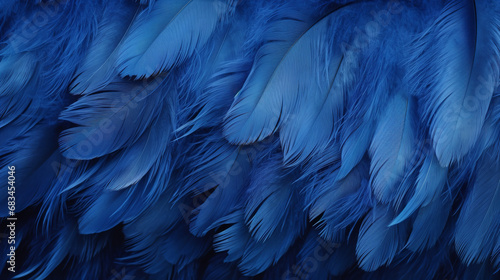 Macro of Blue Feathers Texture as Background. Swan Feather. Dark Blue Feather Vintage Backdrop © Nate