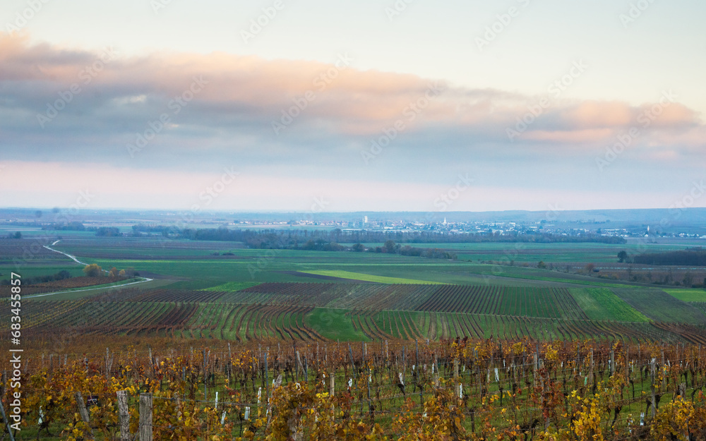 Austria, Burgenland, Oberpullendorf District, near Neckenmarkt, vineyards at sunrise in autumn, View over Deutschkreutz, Blaufraenkischland