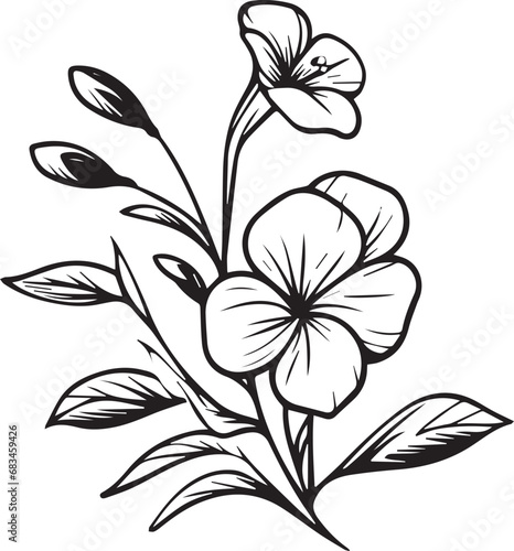 Cute kids coloring pages, easy periwinkle drawing, Periwinkle flower black and white illustration, vinca outline, Catharanthus flower vector art, simple flower drawing, unique flowers coloring page
