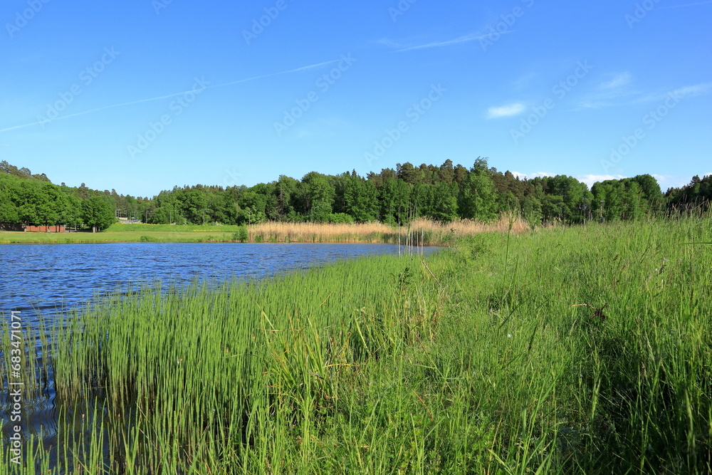 Water, grass and summer. One sunny day in June. Stockholm, Sweden, Scandinavia, Europe. Water, grass and summer. One sunny day in June. Stockholm, Sweden, Scandinavia, Europe.