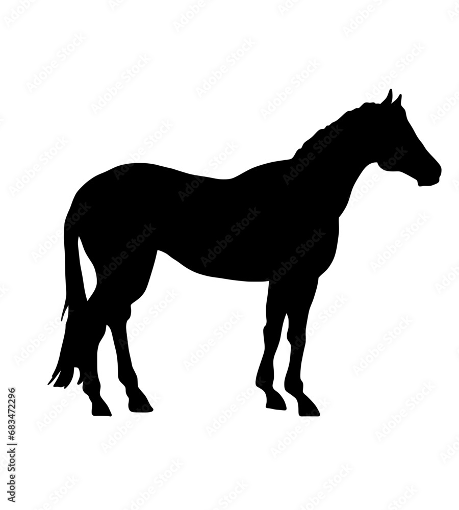 Fototapeta premium Horse silhouette
