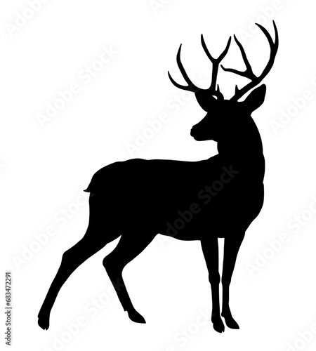 Deer silhouette