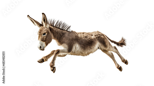 Side View Jumping Donkey. Isolated on Transparent background.