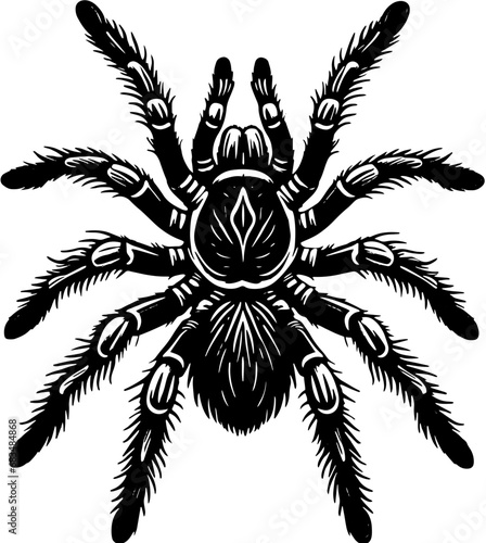 Mexican Fireleg Tarantula icon 2