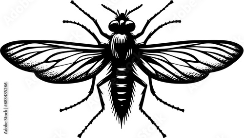 Mayfly icon 3