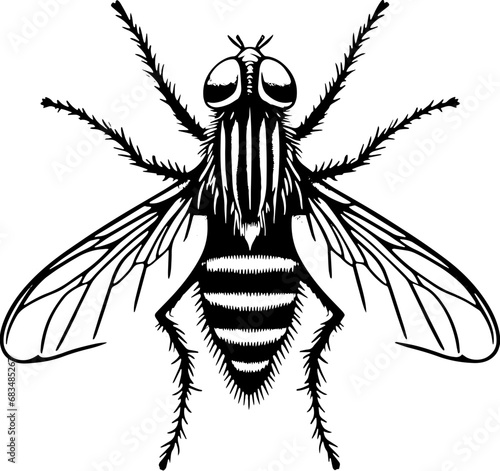 Mayfly icon 1