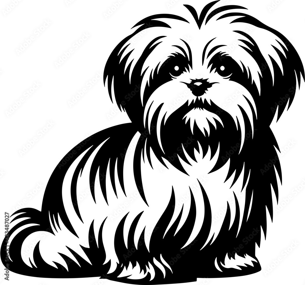 Fototapeta premium Maltese Shih Tzu icon 3