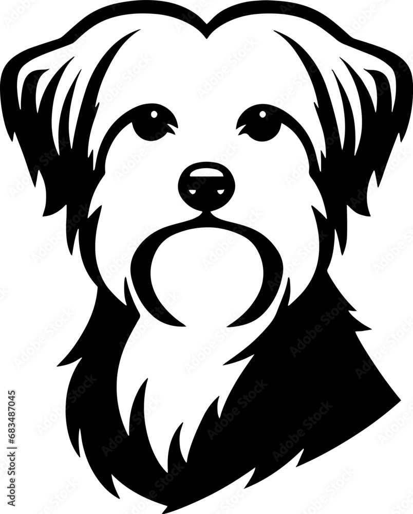 Maltese Mix icon 4 Maltese Mix icon 4